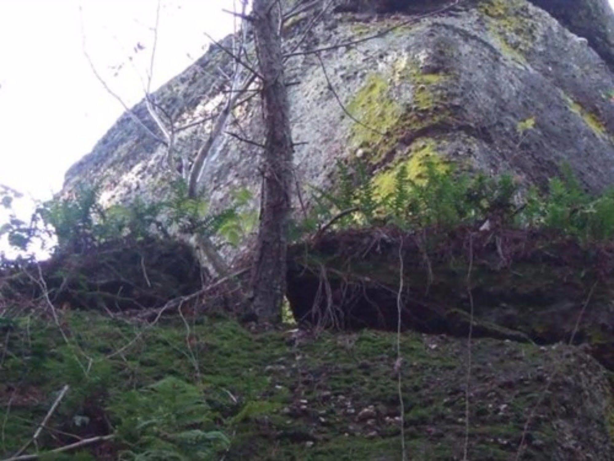 Auberge D'Hotes L'Instant Le Hohwald Exterior foto